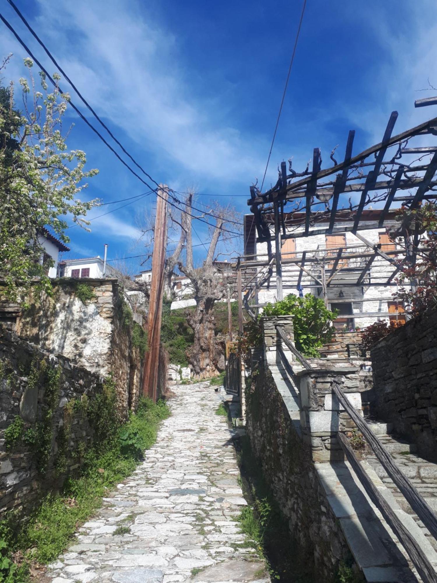 Αrchontiko Tis Marios Hotel Portaria  Exterior photo